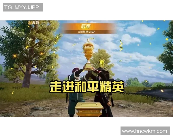 刘丽专访揭秘和平精英成功背后的策略与创新之路