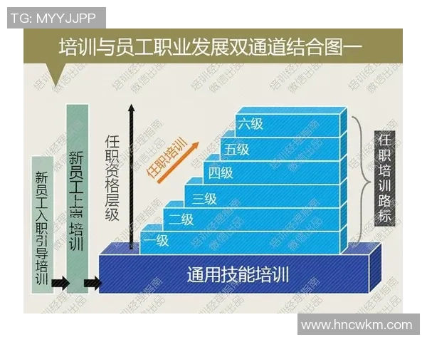 北京排球队进攻革新之路探秘与未来展望