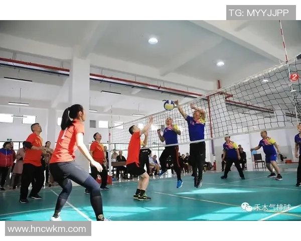 杭州排球队的战术调整与赛季表现分析探讨